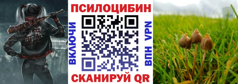где купить наркоту  Боровичи  Галлюциногенные грибы Cubensis 